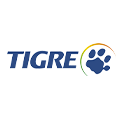 tigre